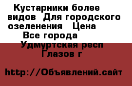 Кустарники более 100 видов. Для городского озеленения › Цена ­ 70 - Все города  »    . Удмуртская респ.,Глазов г.